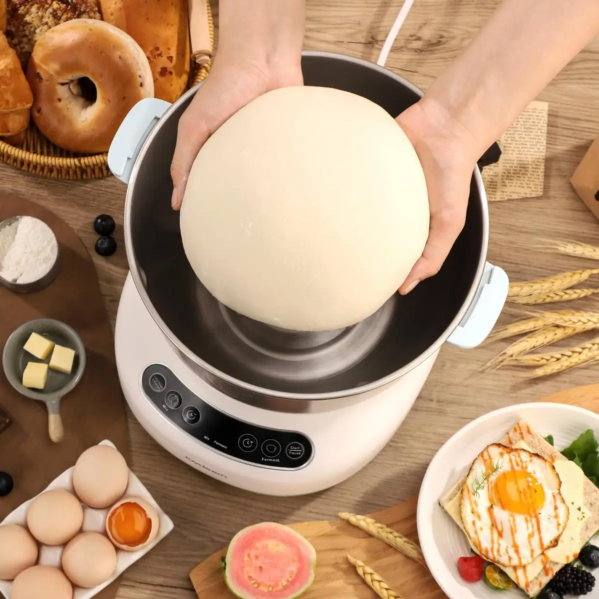 Joydeem JD-HMJ7L 250W Electric Dough Maker with Ferment (7.4 Qt/7 Liters)