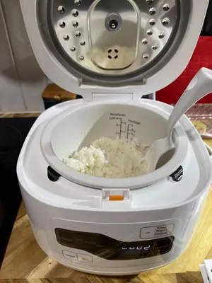 A real rice cooker!