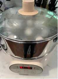 Fast steamer