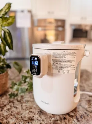 Sleek Design, Efficient Electric Water Dispenser