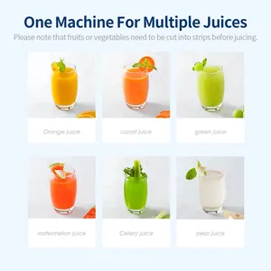 Joydeem JD-YZ9901 Compact Slow Masticating Cold Press Juicer Extractor Machine for Vegetables & Fruits (14 oz/400ml)