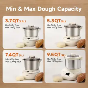 Joydeem HMJ-A901 Electric Dough Maker with Winter & Summer Ferment (9.5 Qt/9L)