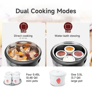 Joydeem 8.5Qt Electric Stew Pot, Stainless Steel Inner Pot with 5 Ceramic Liners DDG-B350