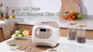 Pure Ceramic Rice Cooker for Healthy Meals | Joydeem 2.5 Cup Uncooked