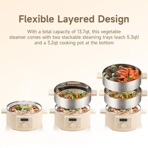 Joydeem DZG-A100 Electric Food Steamer & Hot Pot Combo - 2-Tier Stainless Steel Tray (13.7 Qt/13 Liters)