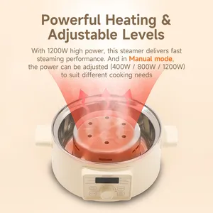Joydeem DZG-A100 Electric Food Steamer & Hot Pot Combo - 2-Tier Stainless Steel Tray (13.7 Qt/13 Liters)