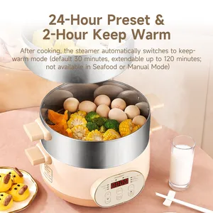 Joydeem DZG-A100 Electric Food Steamer & Hot Pot Combo - 2-Tier Stainless Steel Tray (13.7 Qt/13 Liters)