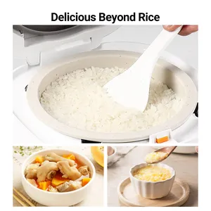 Joydeem FD20S-W Ceramic Rice Cooker PFOA Free - 3 Cup Uncooked (2.1 Qt/2 Liters)