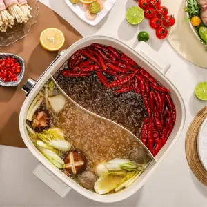 Joydeem DHG-B600 Non-Stick Electric Hot Pot with Divider Double-Flavor Shabu Shabu Pot (6.3 Qt/6 Liters)