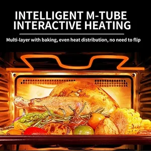 Joydeem JD-S40T Multifunctional Convection Steam Oven - Air Fryer/Steam/Bake/Yogurt/Thaw/Sterilization (34 Qt/38 Liters)