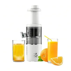 Joydeem JD-YZ9901 Compact Slow Masticating Cold Press Juicer Extractor Machine for Vegetables & Fruits (14 oz/400ml)